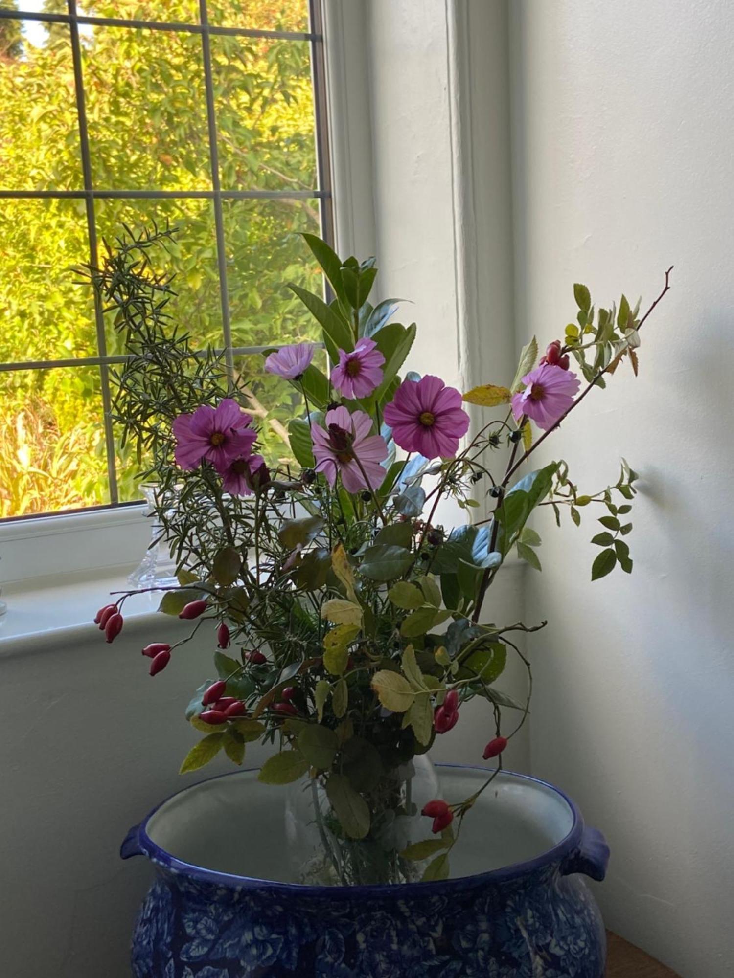 Westergate House Bed & Breakfast York
